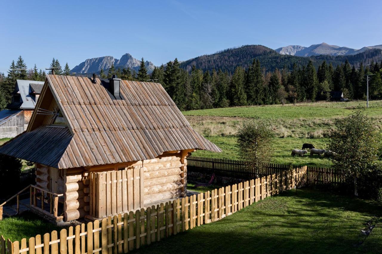 Chata Przy Dolinie Z Sauna Kościelisko Exterior foto